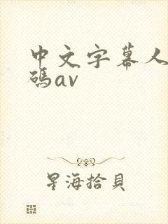 中文字幕人妻有码av