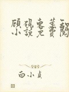 顾砚东叶知安的小说免费阅读全文封面