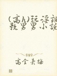 (高h)玩淫调教男男小说