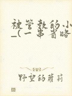 被管教的小美人_(一串省略号)封面