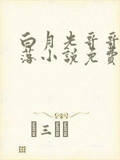 白月光哥哥的堕落小说免费阅读封面