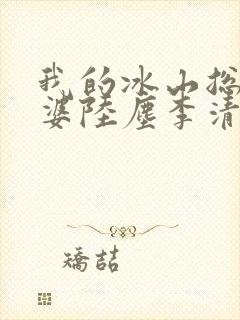 我的冰山总裁老婆陆尘李清瑶免费阅读封面