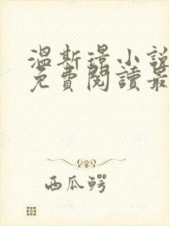 温斯璟小说全文免费阅读最新章节封面