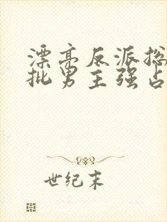 漂亮反派总被疯批男主强占