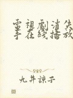 电视剧消失的凶手在线播放