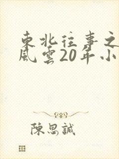 东北往事之黑道风云20年小说