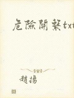 危险关系txt封面