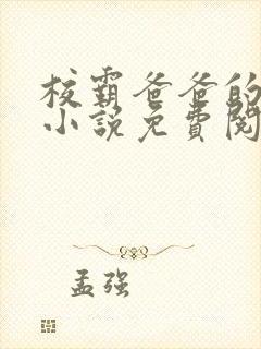 校霸爸爸的秘密小说免费阅读