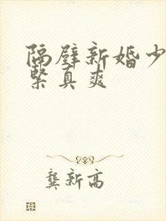 隔壁新婚少妇真紧真爽