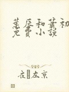 叶辰和萧初然的免费小说封面