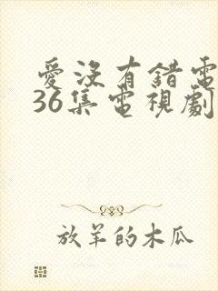 爱没有错电视剧36集电视剧全集