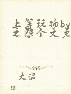 上等玩物by长之怨全文免费阅读笔趣阁封面