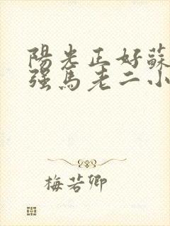 阳光正好苏玥马强马老二小说