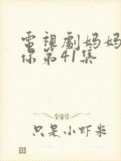 电视剧妈妈在等你第41集