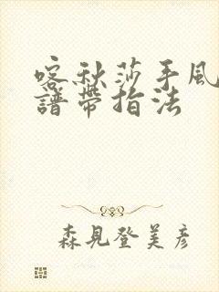 喀秋莎手风琴简谱带指法封面