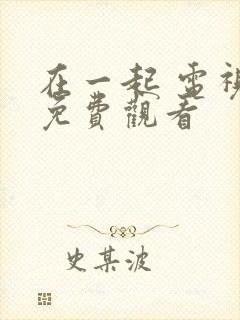 在一起 电视剧免费观看