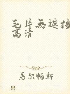 毛片无遮挡免费高清