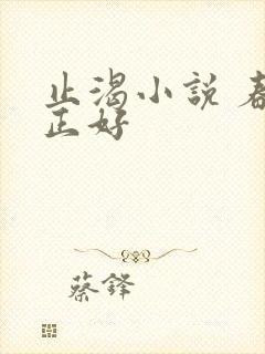 止渴小说 春光正好封面