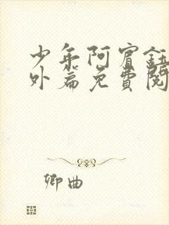 少年阿宾钰慧番外篇免费阅读