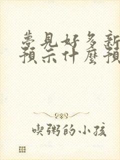 梦见好多新袜子预示什么预兆