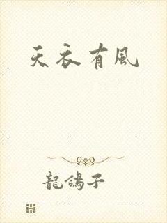 天衣有风封面