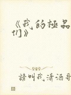 《我的极品老婆们》封面