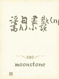 淫日尽欢(np高h)小说