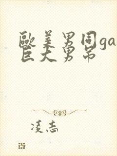 欧美男同gay巨大男吊