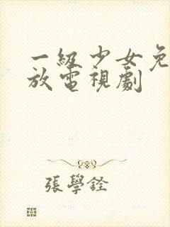 一级少女免费播放电视剧封面