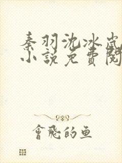 秦羽沈冰岚穿越小说免费阅读