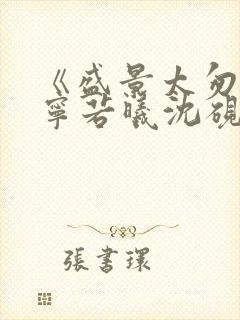 《盛景太匆匆》宁若曦沈砚舟