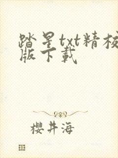 踏星txt精校版下载