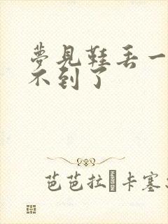 梦见鞋丢一只找不到了