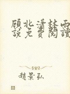 顾北潇林雨菲小说免费阅读