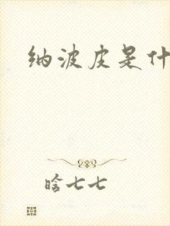 纳波皮是什么皮封面