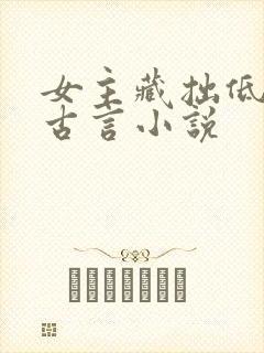 女主藏拙低调的古言小说封面