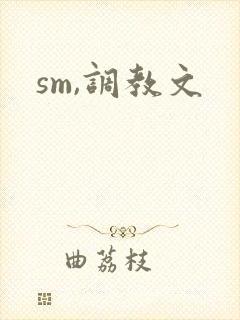sm,调教文封面