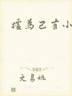 据为己有小说封面