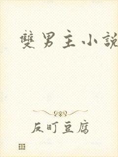 双男主小说美人