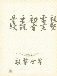 爱之初电视剧在线观看完整版高清封面