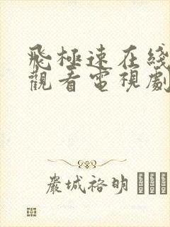 飞极速在线免费观看电视剧长乐曲封面