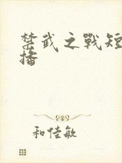 禁武之战短剧热播封面