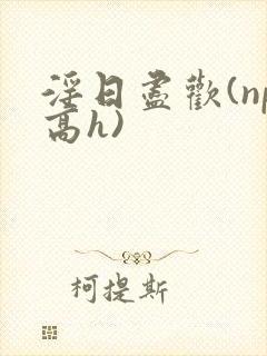 淫日尽欢(np高h)