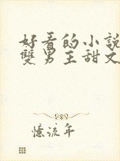 好看的小说推荐双男主甜文