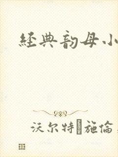 经典韵母小说封面