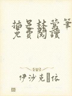 插足林莺笔趣阁免费阅读封面