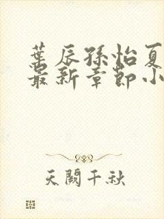 叶辰孙怡夏若雪最新章节小说