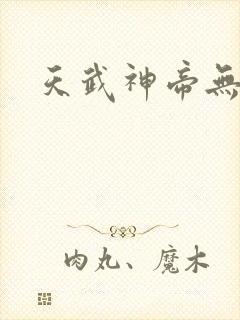 天武神帝无弹窗