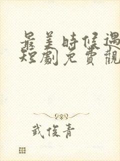 最美时候遇见你短剧免费观看魏语娴封面