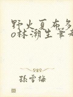 野火夏布多昂po林潮生笔趣阁